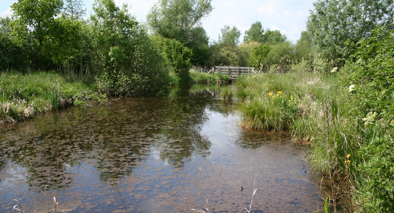 Sortie nature à Vesles-et-Caumont : "Découverte de la réserve"