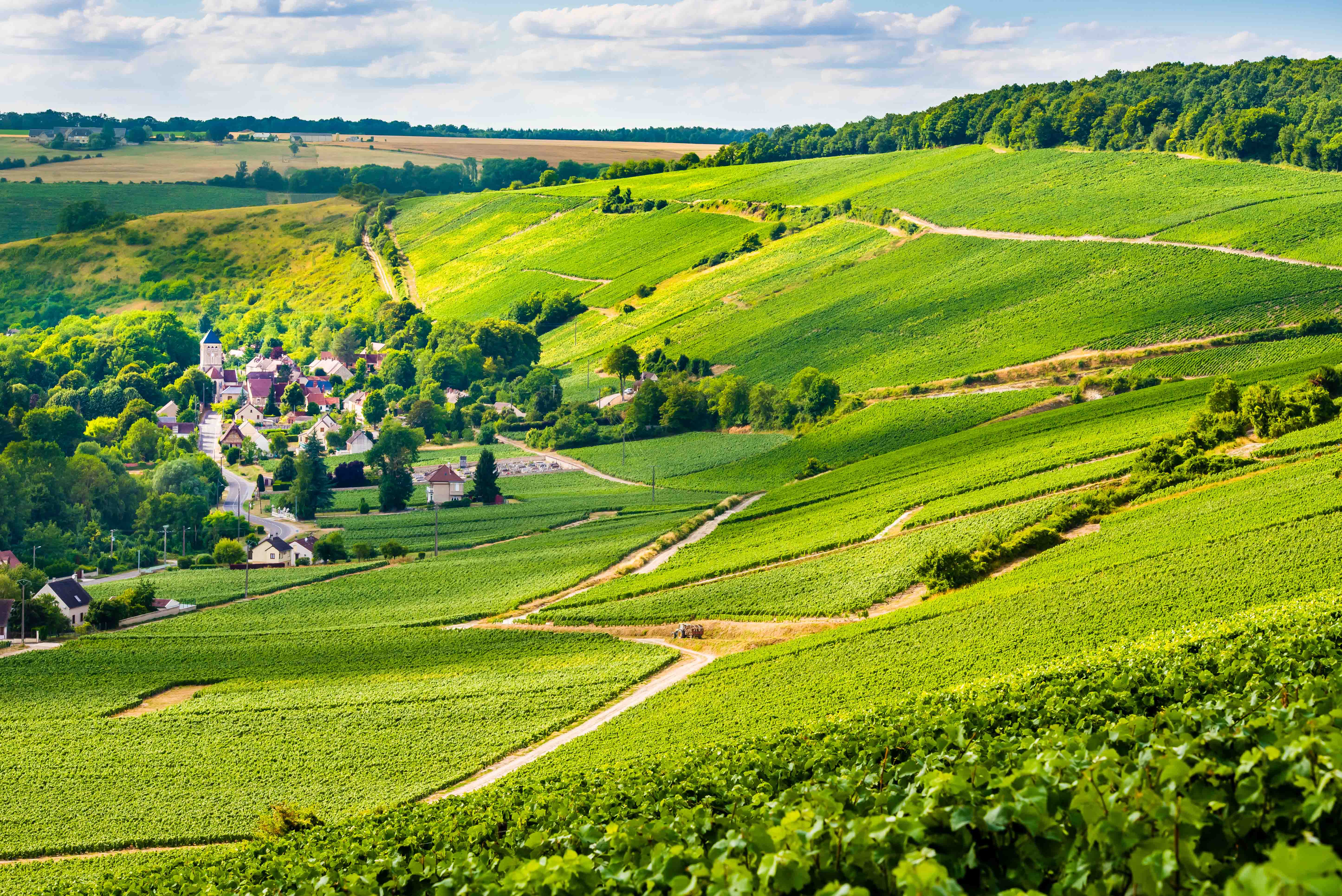 Champagne Daniel Gerbaux (Chézy-sur-Marne) | Les Portes de la