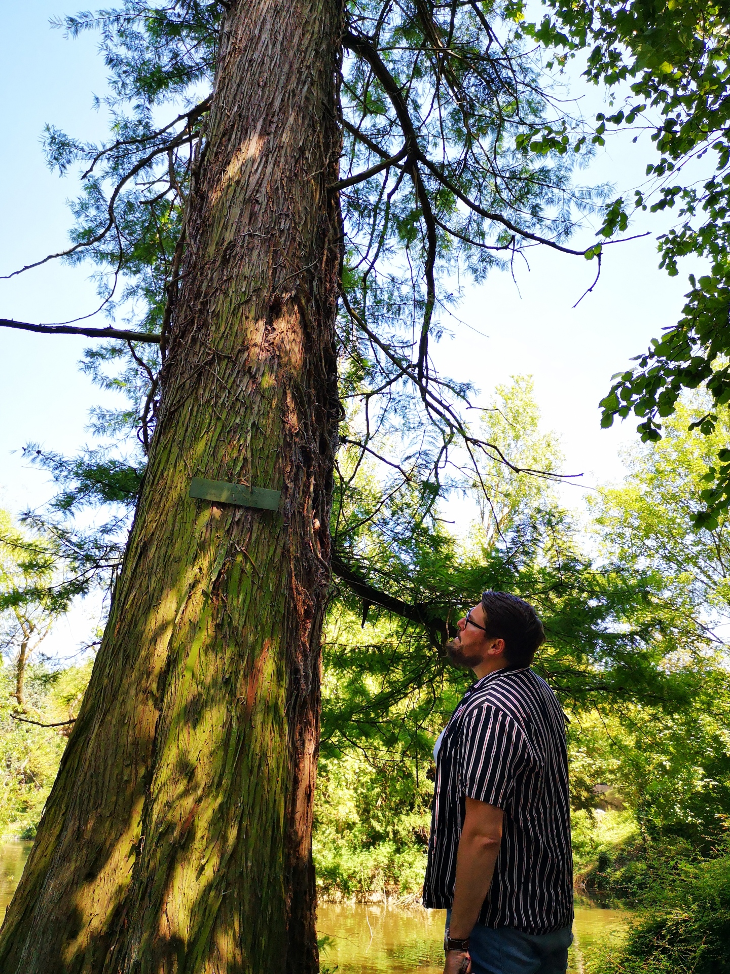 Sophr'arbre au parc Fenain