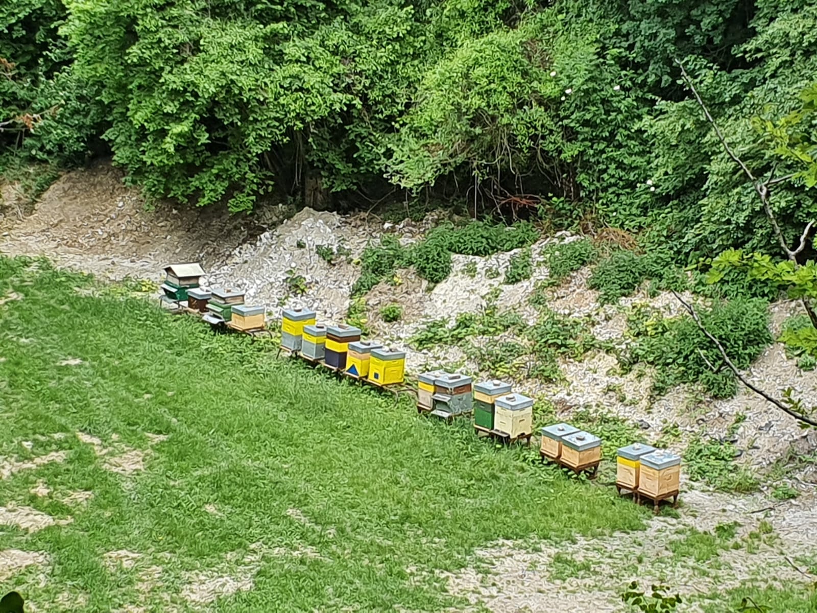 L'HappyCulture de Lucie