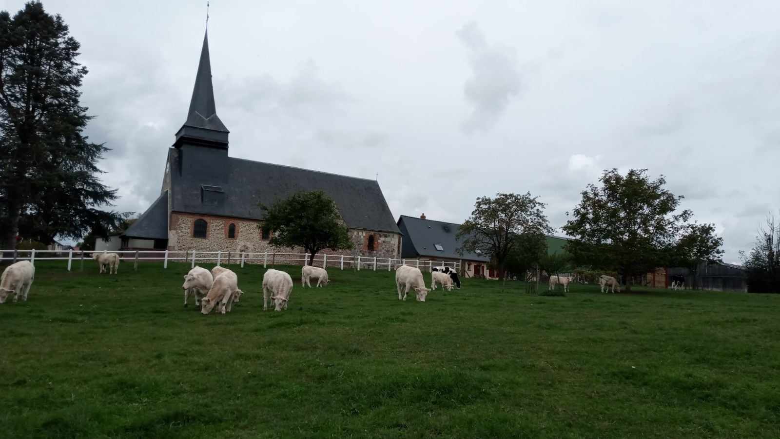 Au Panier de Clem