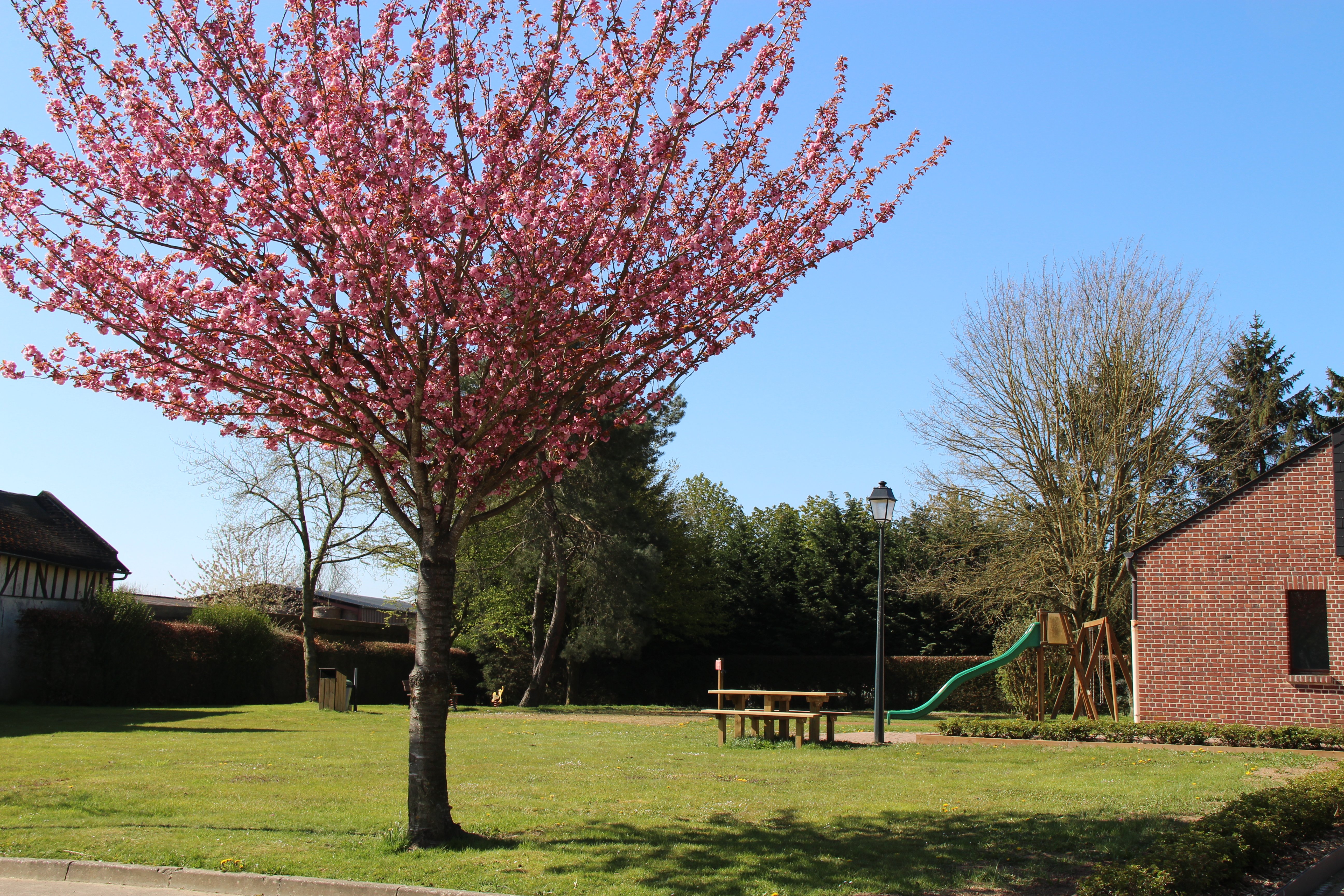 Aire de pique nique de Rothois