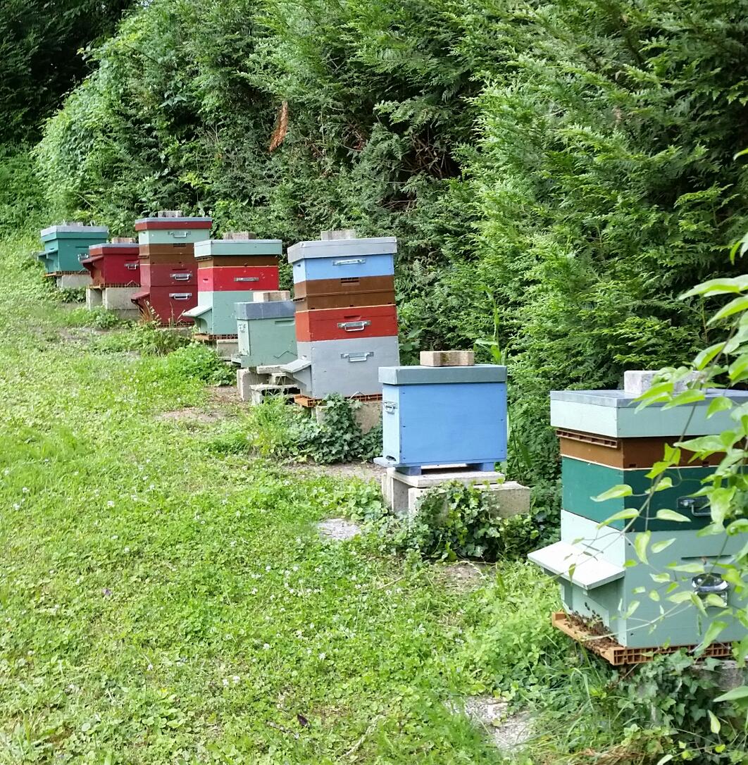 Le Rucher du Clos Mimbertin