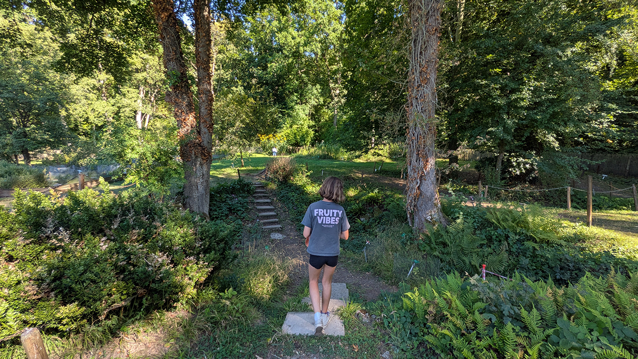 Jardin de plantes médicinales de l'Abbaye de Vauclair