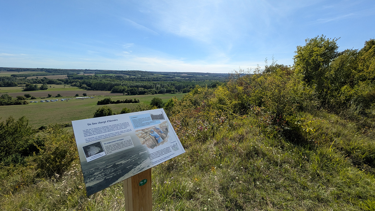 Sortie nature à Oeuilly : "Un peu de géologie en bonne compagnie !"