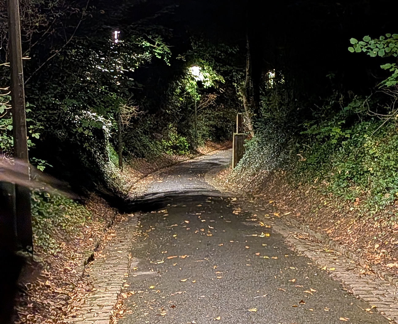 Sortie nature à Laon : "Balade nocturne"
