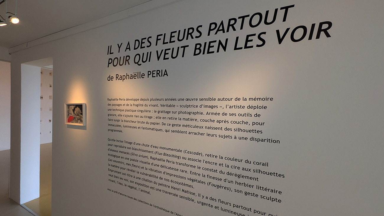 Exposition à Laon : "Il y a des fleurs partout pour qui veut bien les voir"