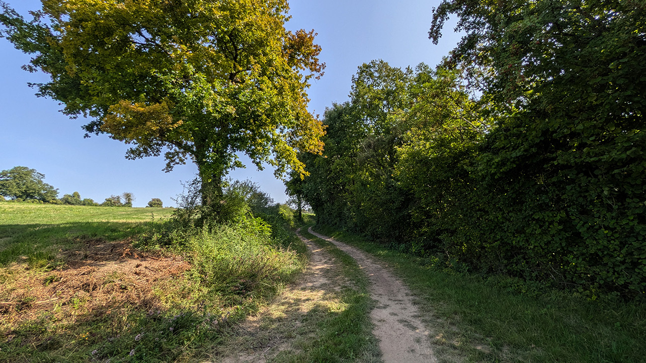 Circuit au-dessus des creuttes II < Chamouille < Aisne < Picardie