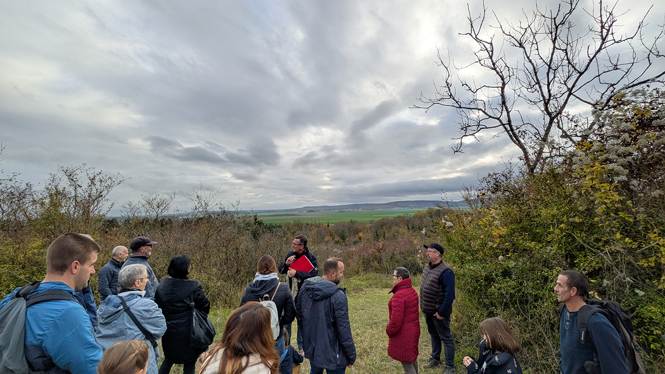 Visite guidée à Berry-au-Bac : "La cote 108 et son cratère de mine" — visuel événement