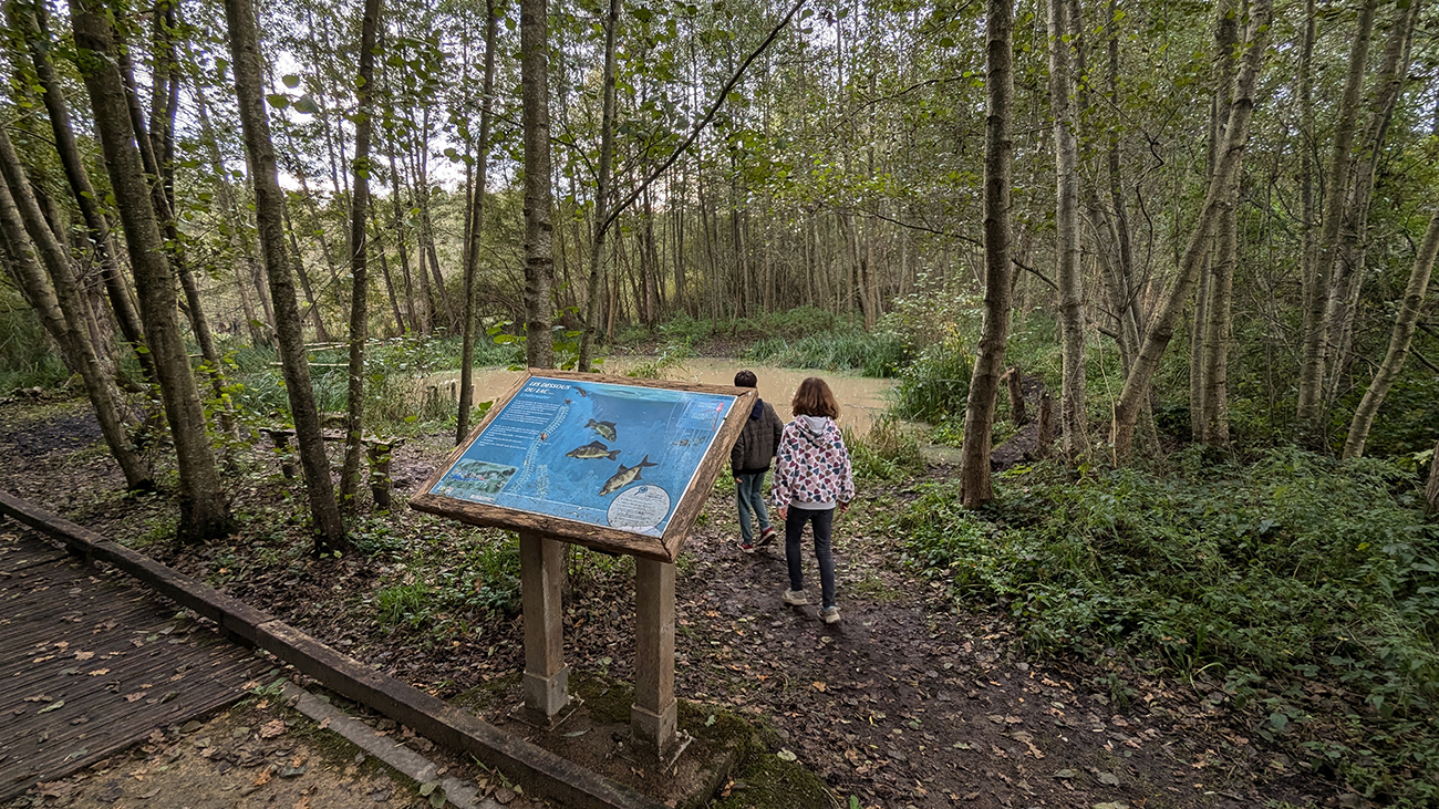 Chantier nature à Neuville-sur-Ailette : "Un chantier pour la biodiversité !"