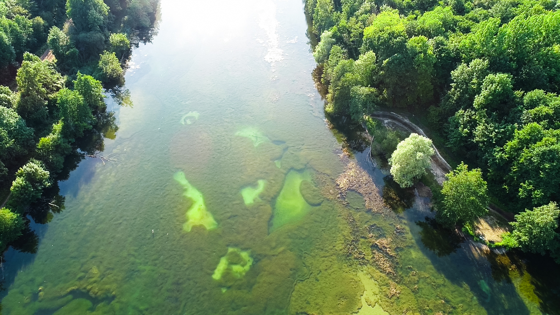 Marais de Chantraine