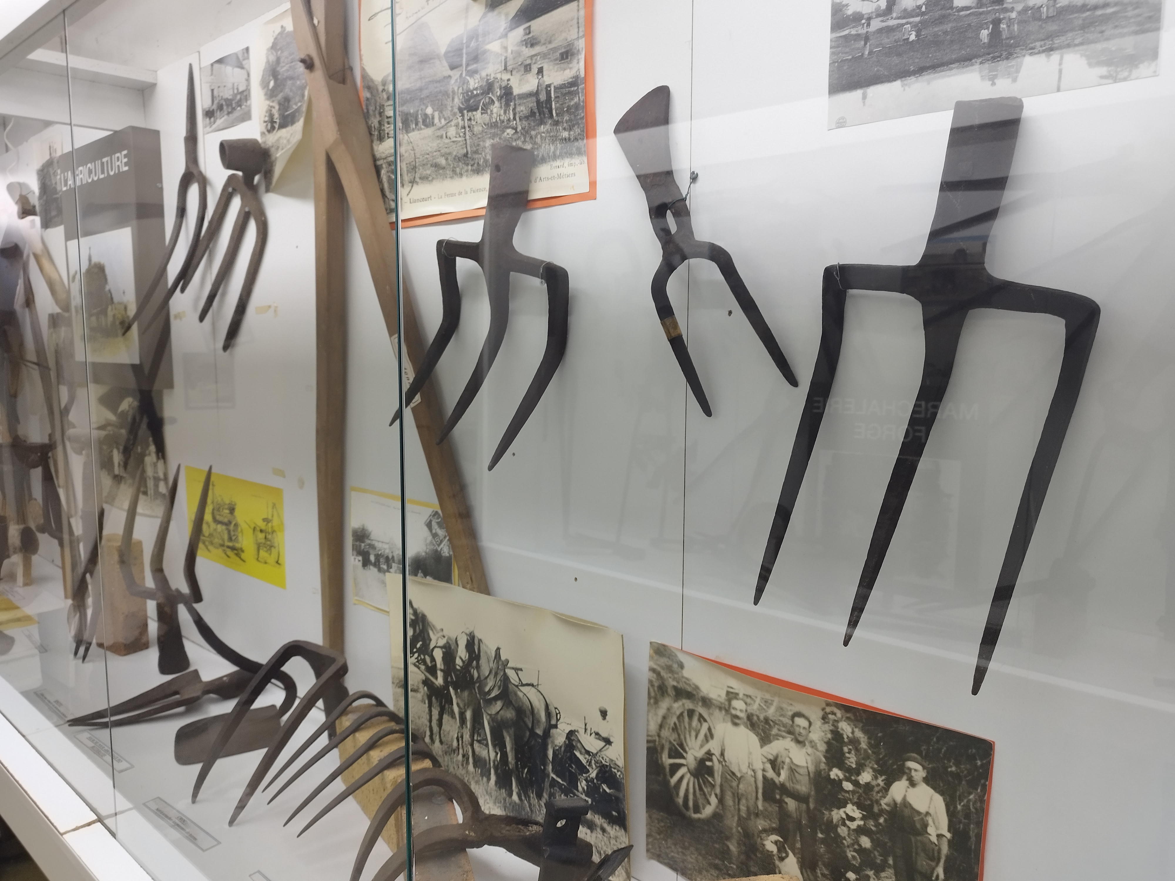 Musée des Arts et Traditions populaires