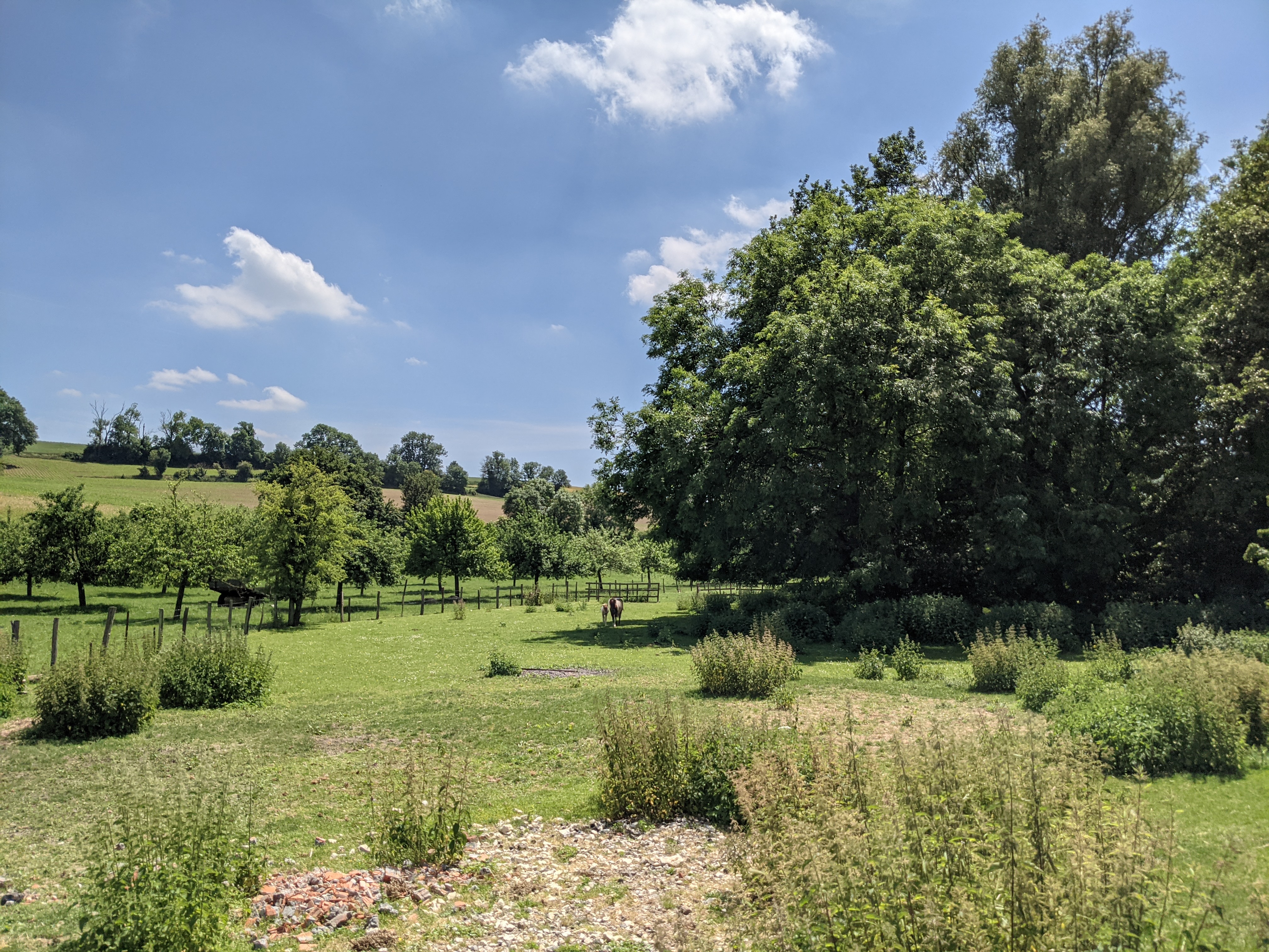 Aire de pique nique de Saint Deniscourt
