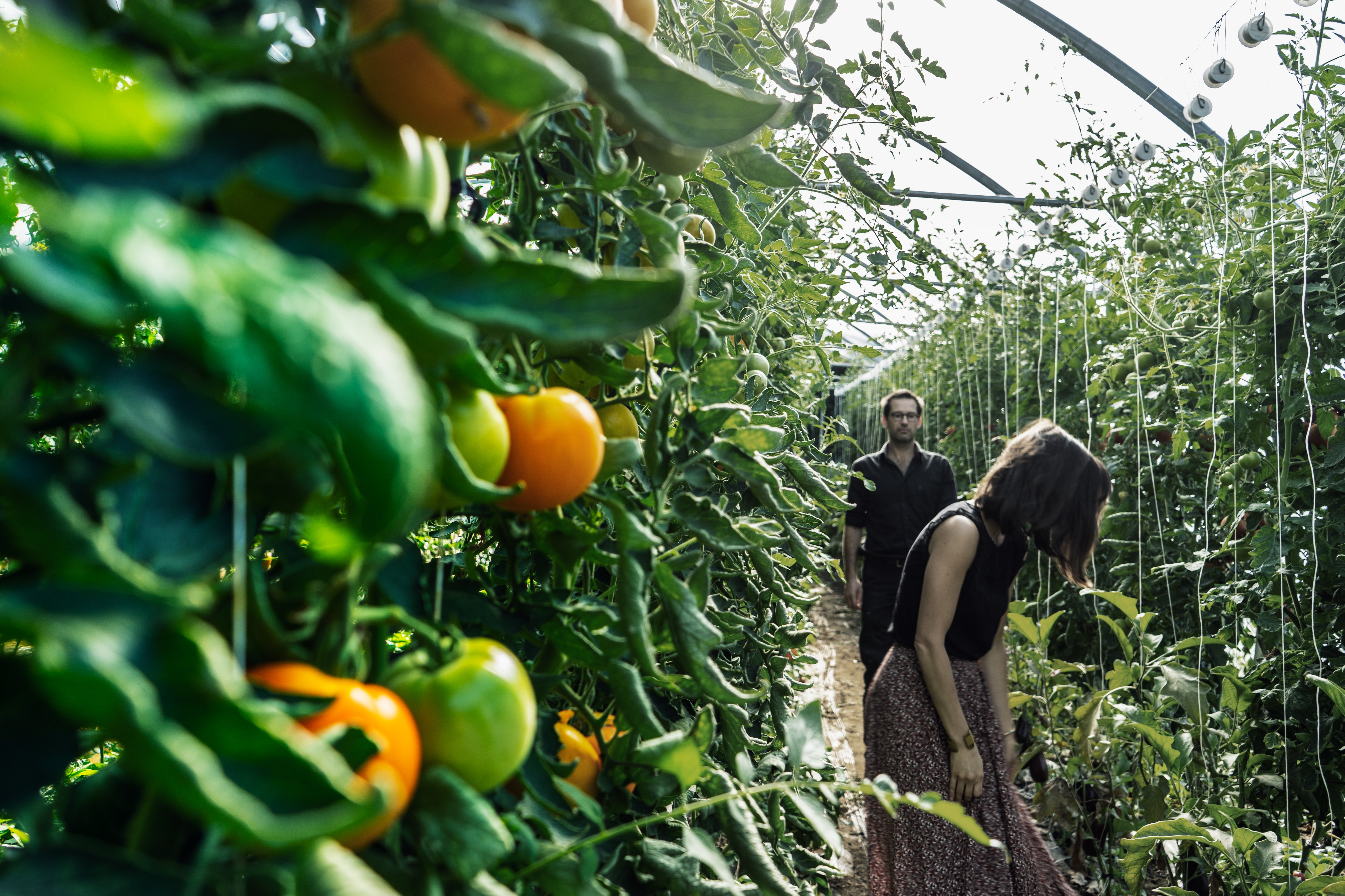 Ferme du Mont de Cuy
