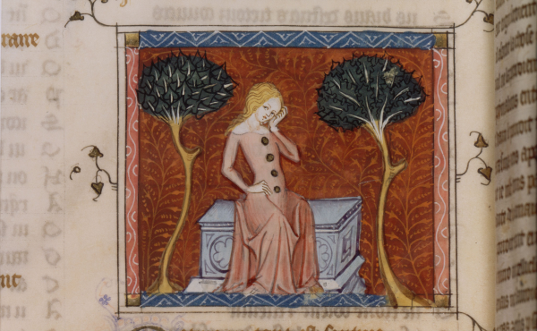 Bibliothèque nationale de France, département des manuscrits