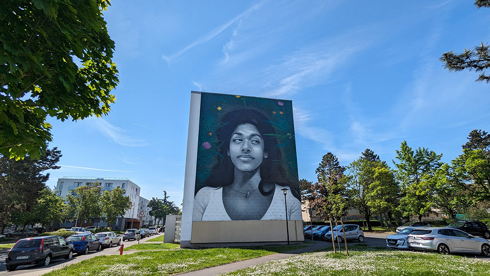 Visite guidée autour du street art à Laon (quartier Champagne)