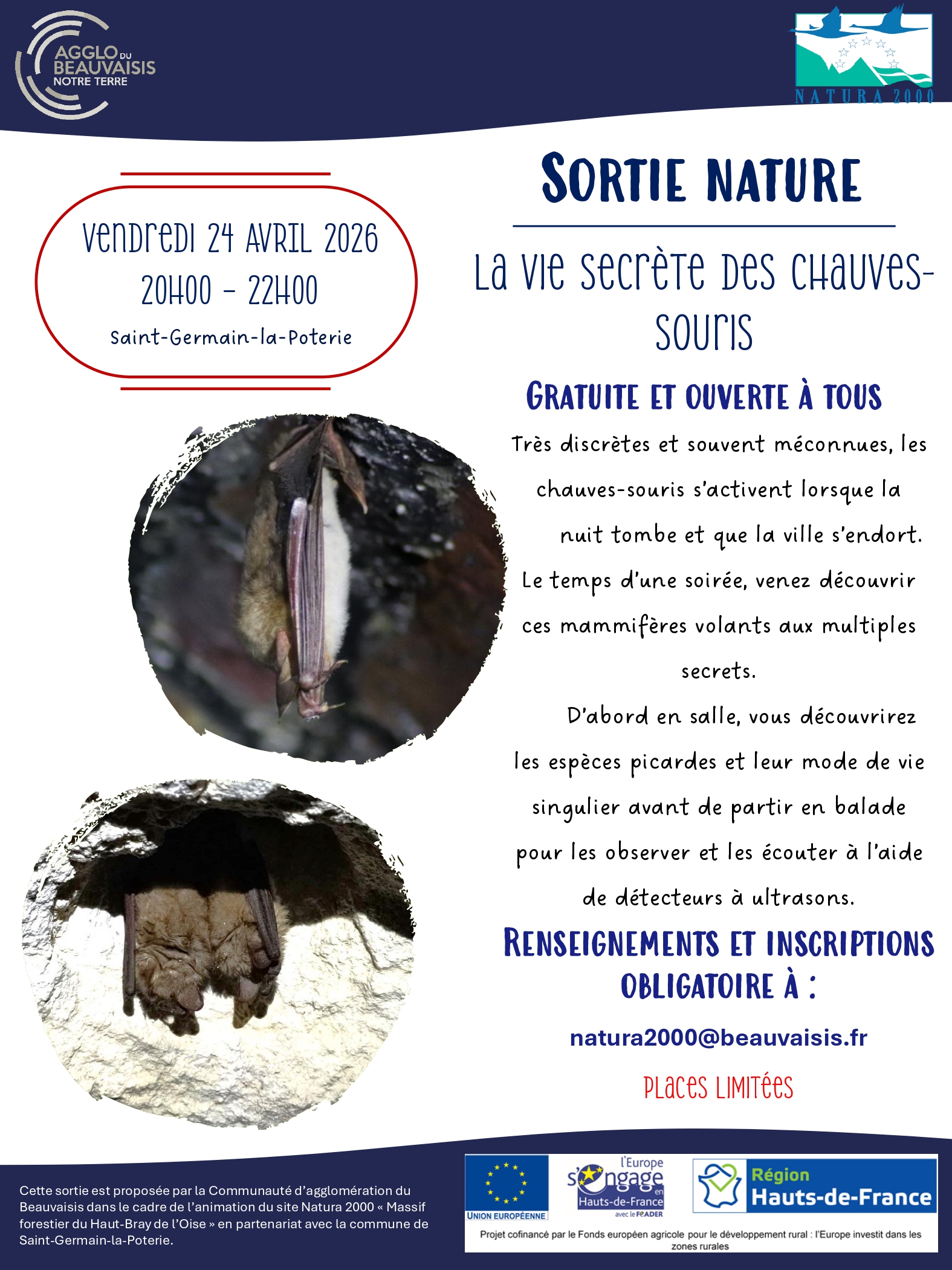 Sortie nature : La vie secrète des chauves-souris