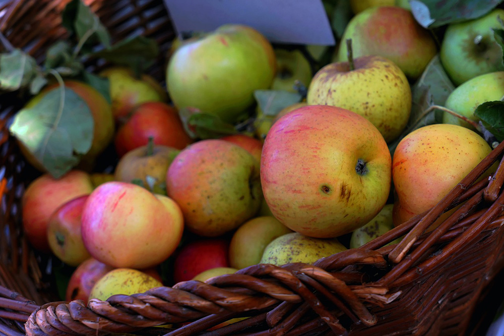 Atelier fruits légumes saison < Laon < Aisne < Hauts-de-France