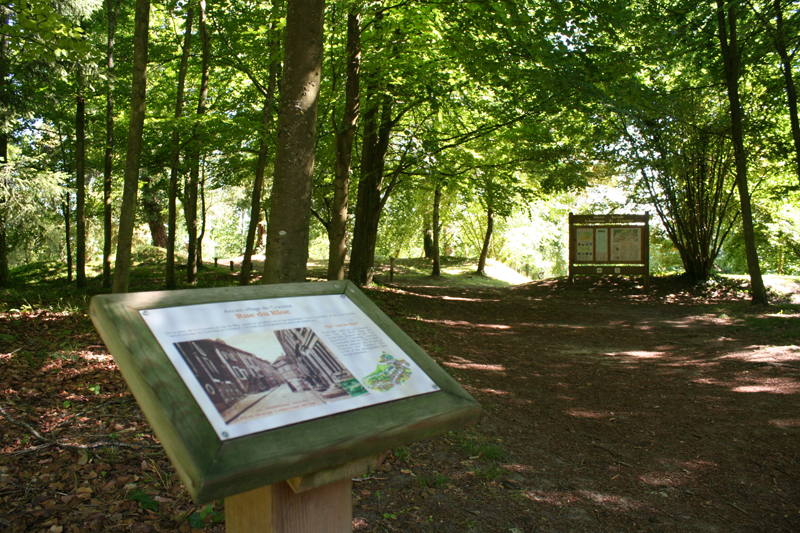 Arboretum 2015 I < Craonne < Aisne < Picardie