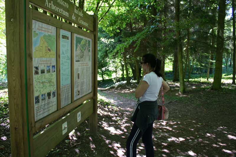 Arboretum 2015 II < Craonne < Aisne < Picardie