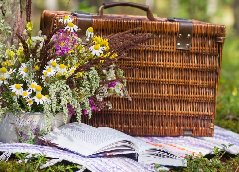 Aire de pique-nique de Thiers-sur-Thève