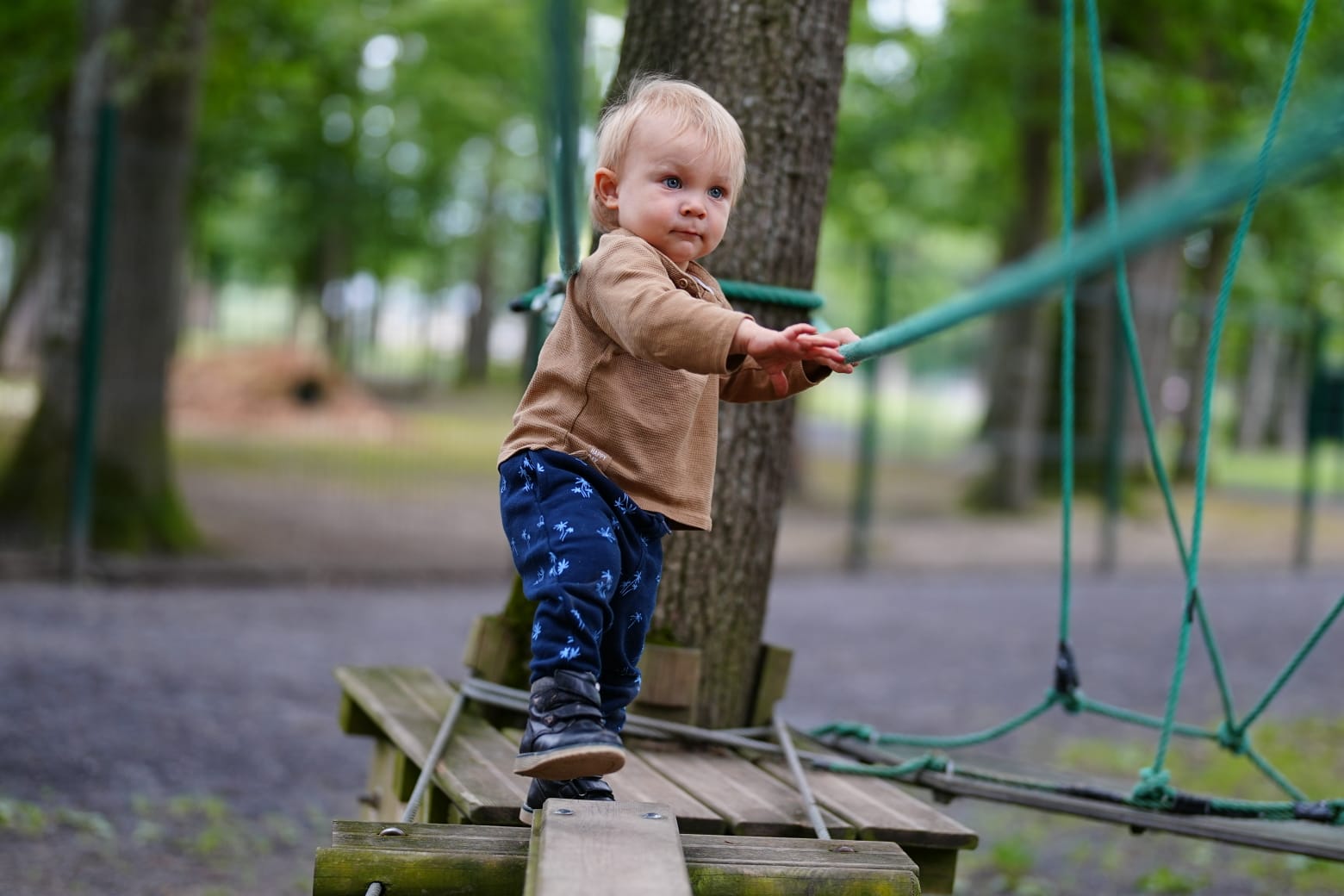 Parc Saint Léger - Parc Animalier
