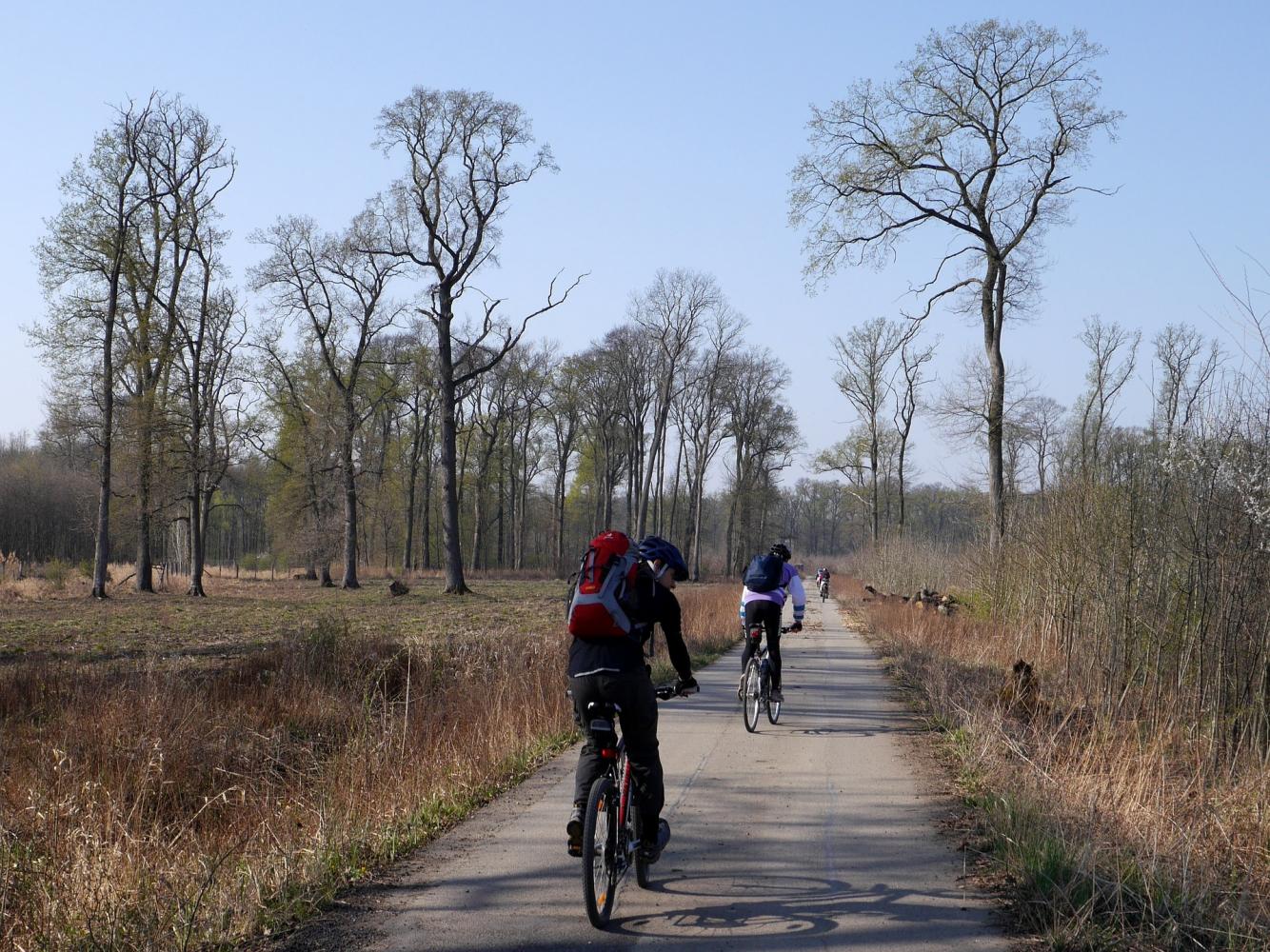 Association Chaunoise de Cyclotourisme