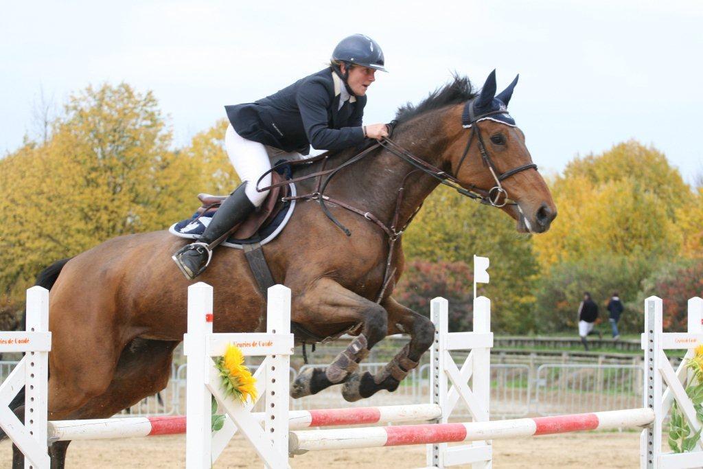 Les écuries du Val d'automne