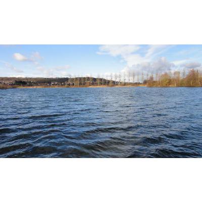 Jurassik Pike et Jurassik Carpe