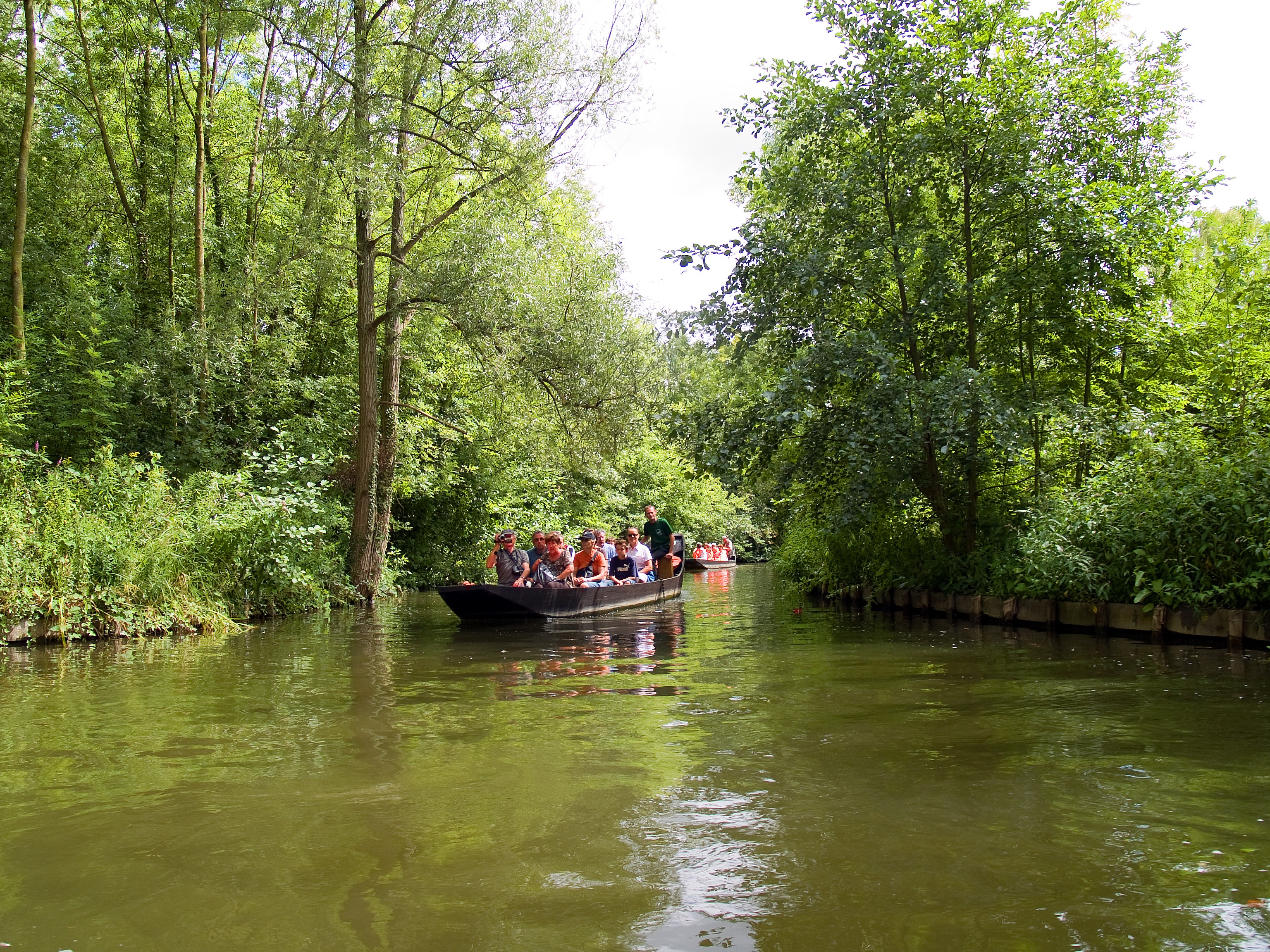 Association pour la Protection et la Sauvegarde des Hortillonnages