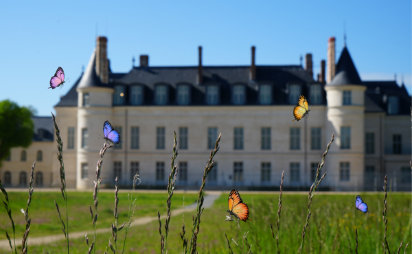 Château de Villers-Cotterêts