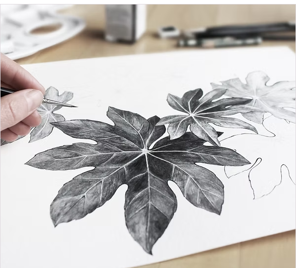 Cours de dessin