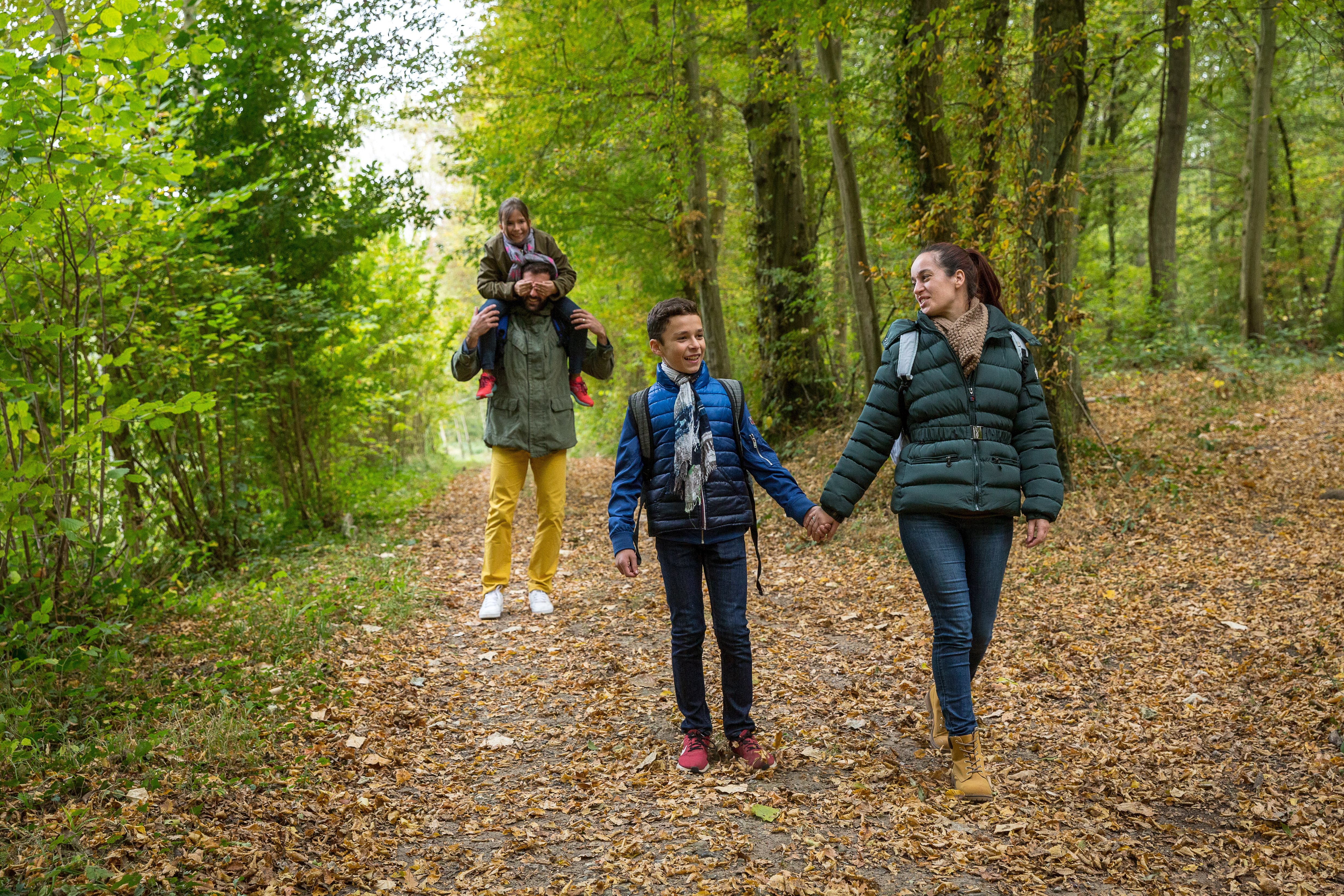 Forêt domaniale de Hez-Froidmont