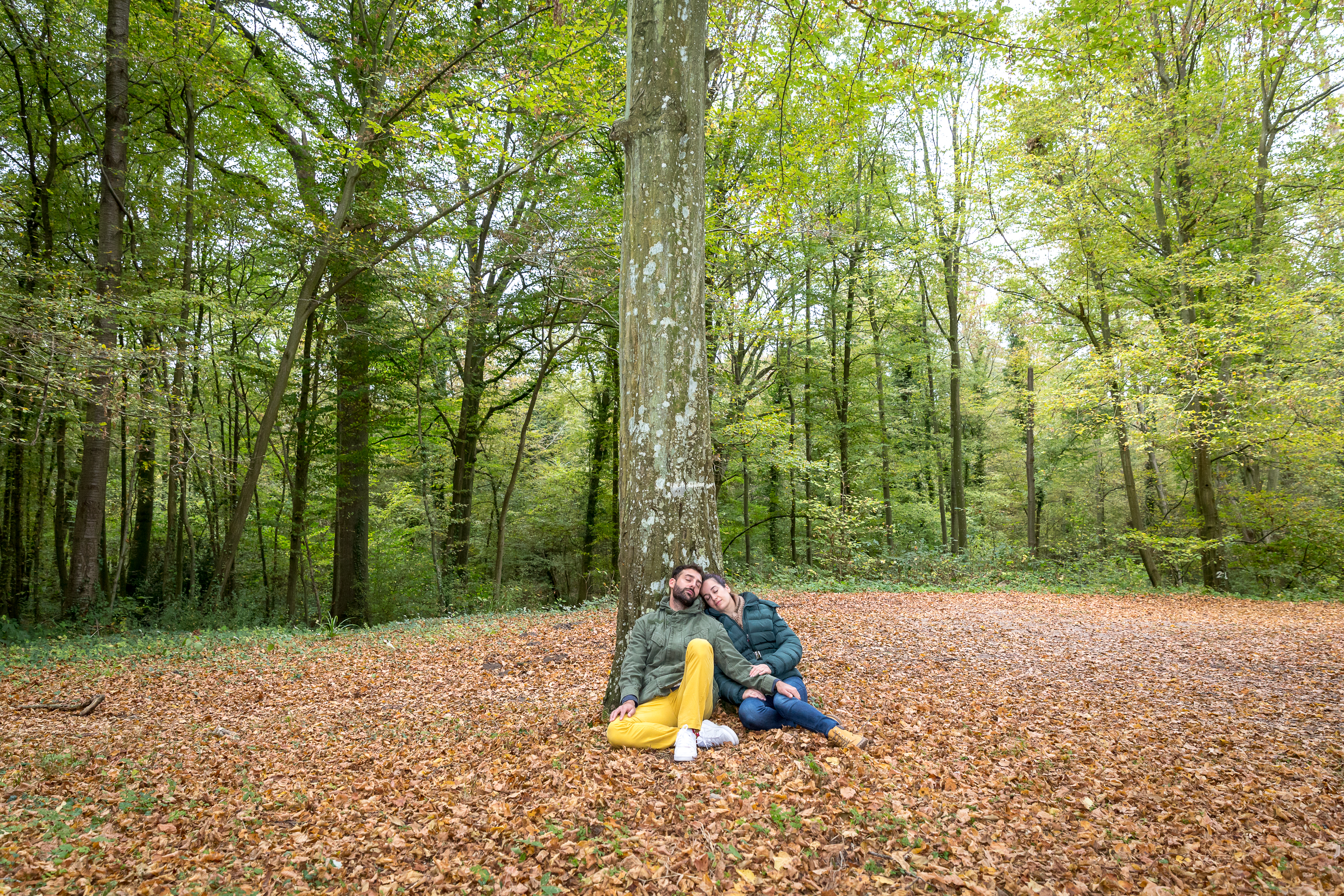 Forêt domaniale de Hez-Froidmont