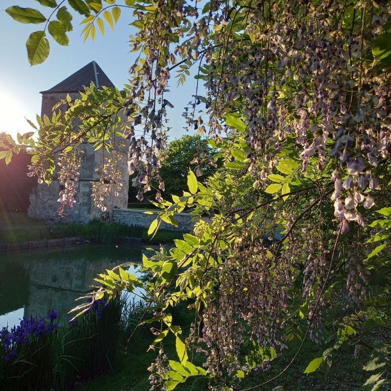 Jardins du Manoir du Plessis-au-Bois