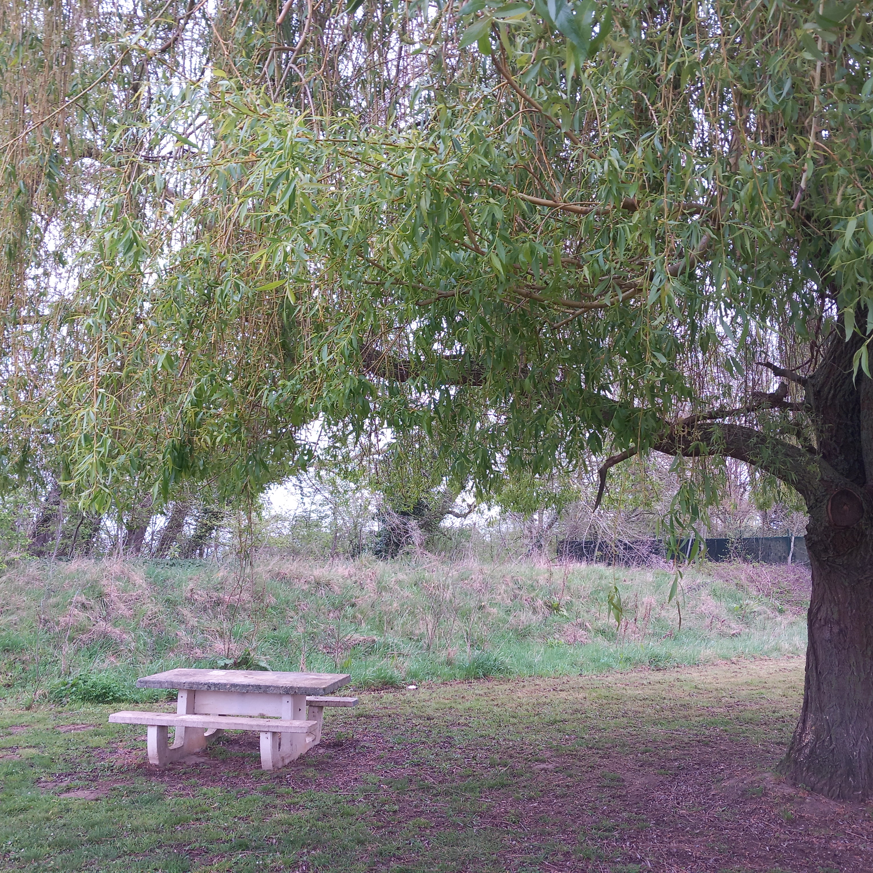 Aire de pique-nique de Le-Plessis-Brion