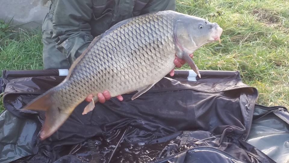 Étang communal de Pontpoint