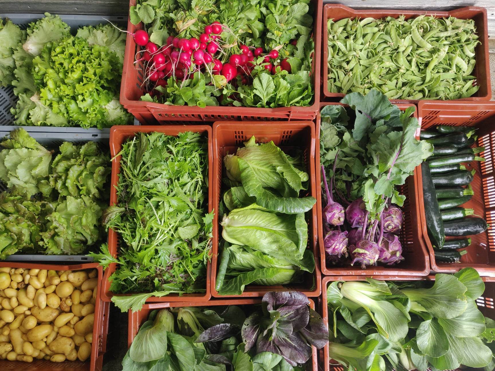 Ferme des P'tites Planches