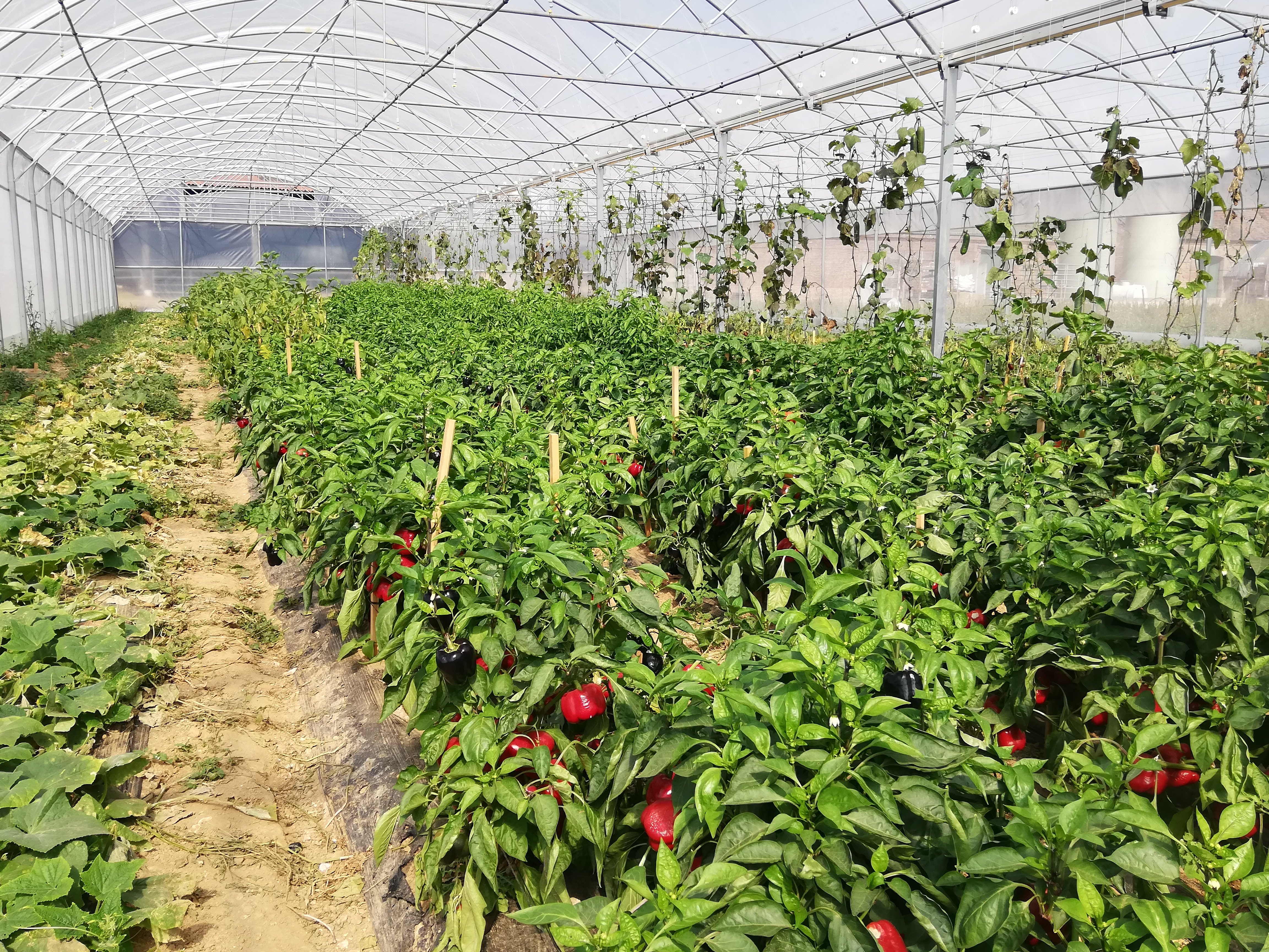 Ferme des Courtillets