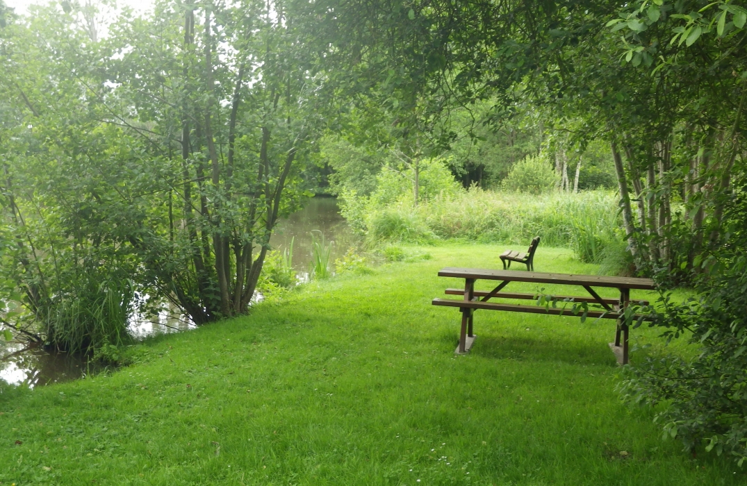 Aire de pique-nique de Saint-Pierre-es-Champs