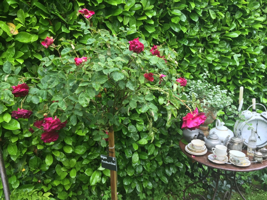 Le Jardin de l'échassière