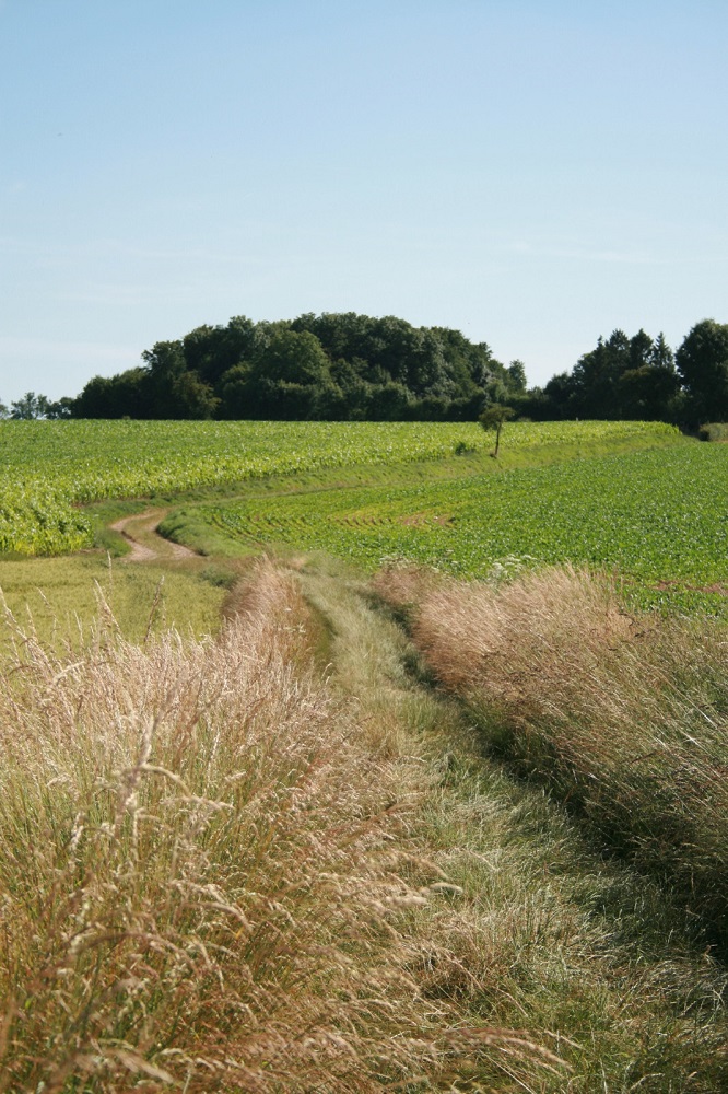 La Vallée du Petit Thérain (variante)