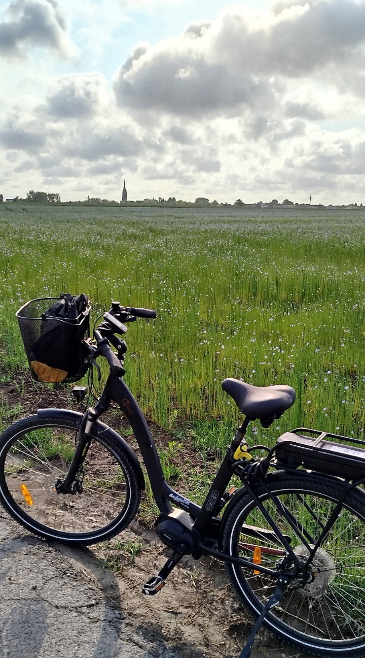 Location de vélos et de trottinettes électriques