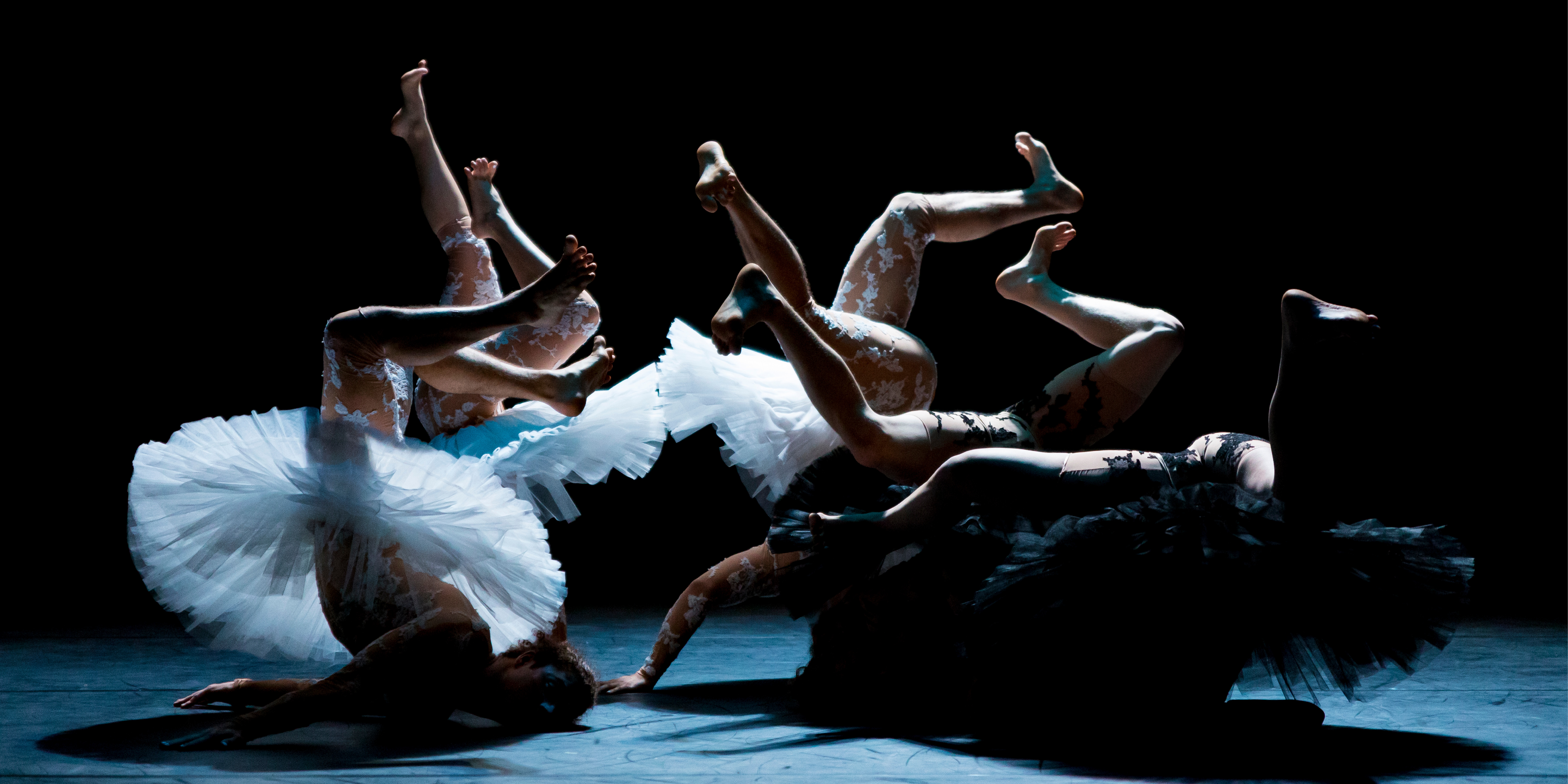 LE LAC DES CYGNES Florence Caillon – Compagnie L’Eolienne